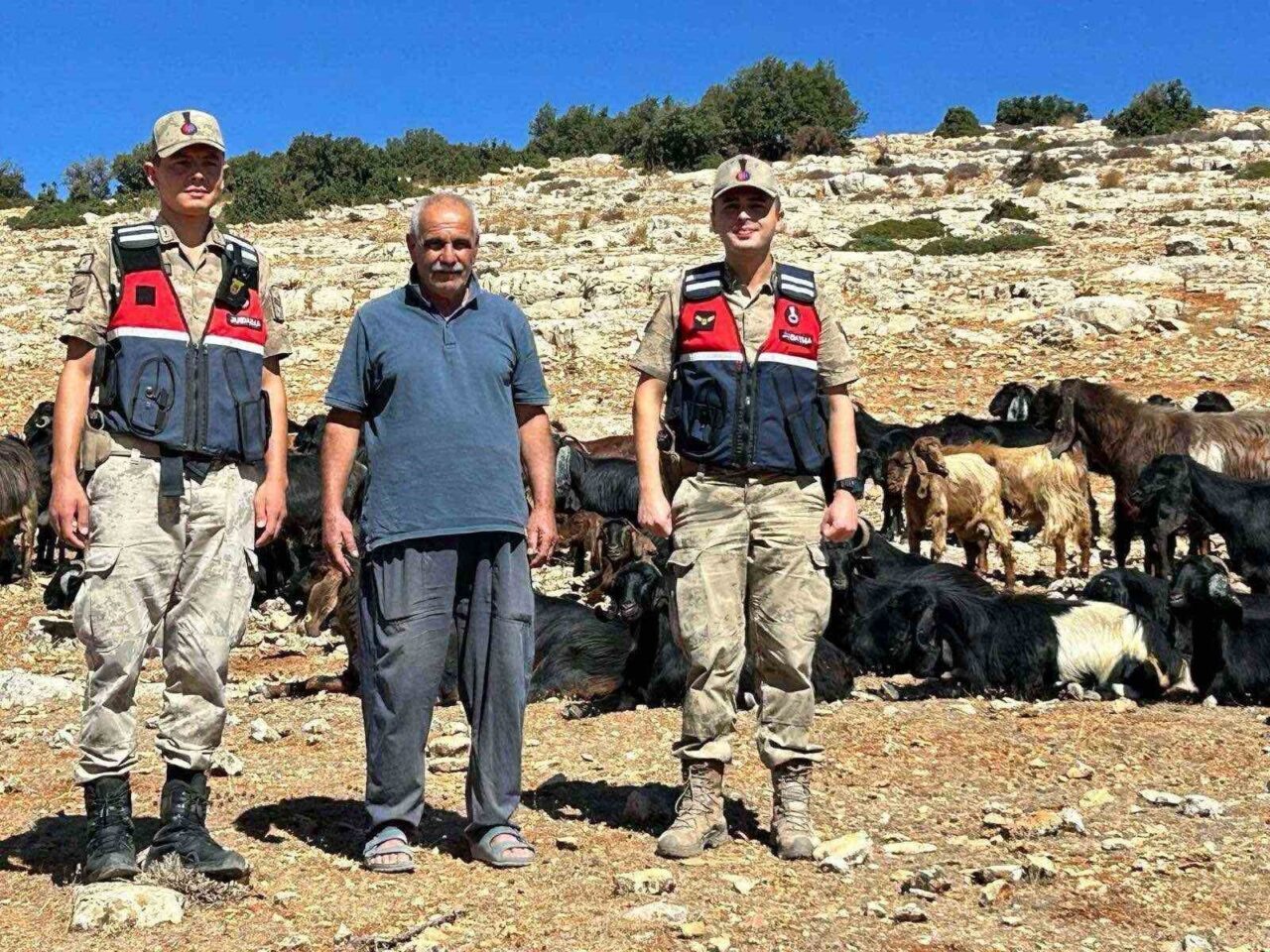 Kilis’in Merkez ilçesine bağlı Tamburalı Köyünde kaybolan 100 küçükbaş hayvan,