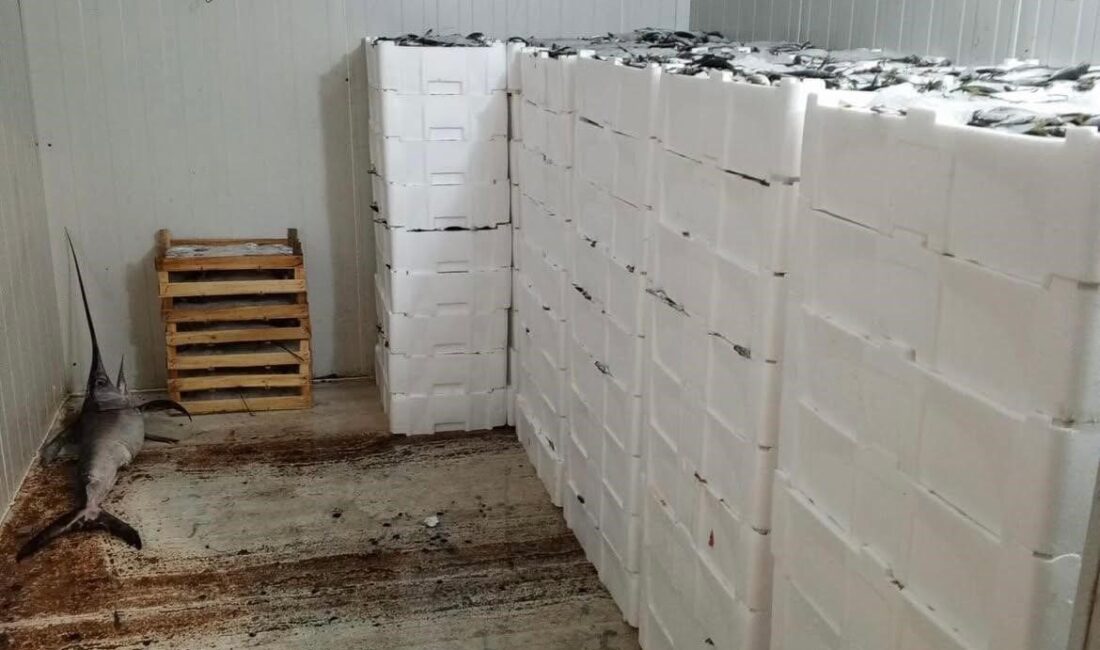 Bursa balık halinde denetim yapan Bursa Büyükşehir Belediyesi Tarım A.Ş.