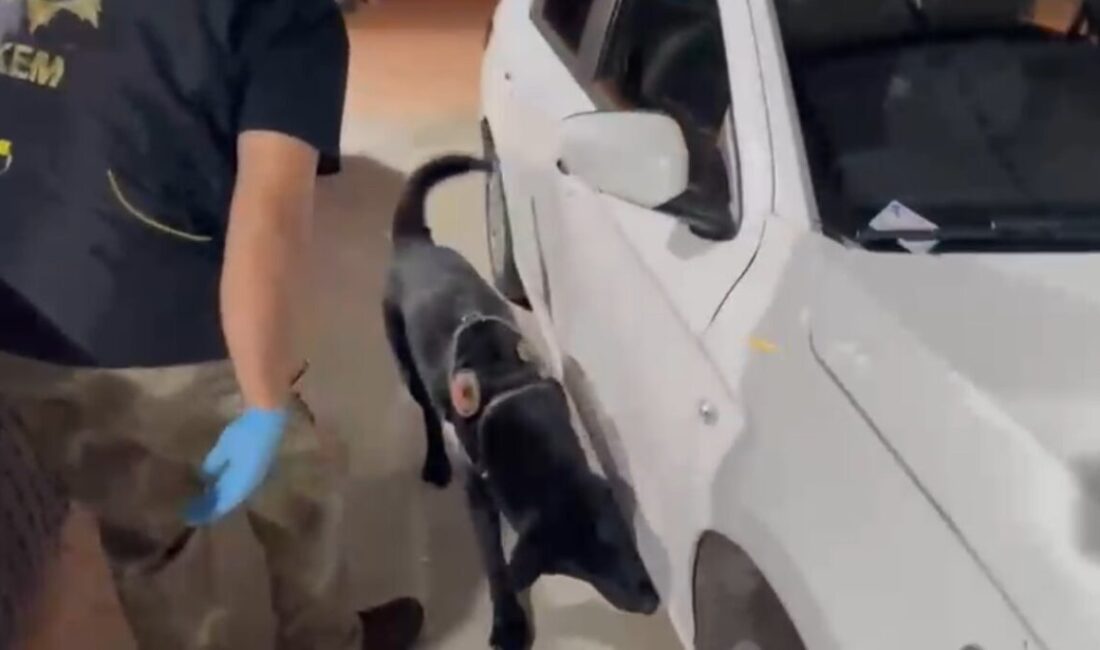 Samsun’da kiralık araçla uyuşturucu sevkiyatı yapan baba-oğul, yapılan takip sonucu