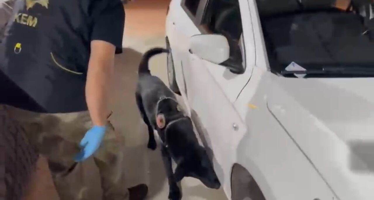 Samsun’da kiralık araçla uyuşturucu sevkiyatı yapan baba-oğul, yapılan takip sonucu