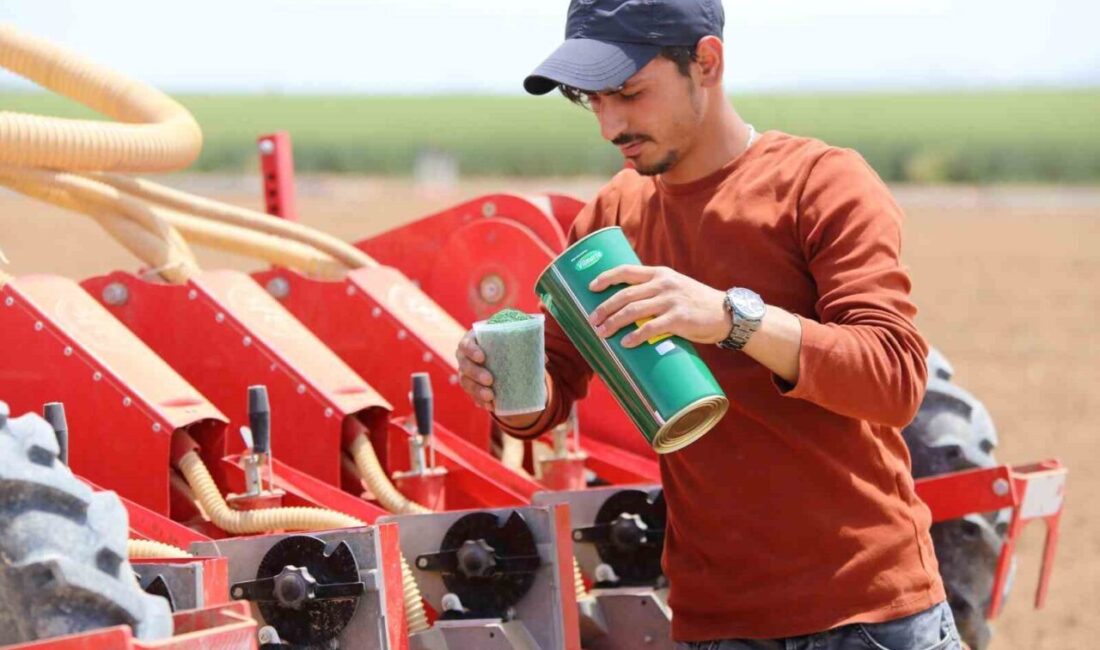 Tarım ve Orman Bakanlığı üst üste 2 yıl boyunca işlenmemiş