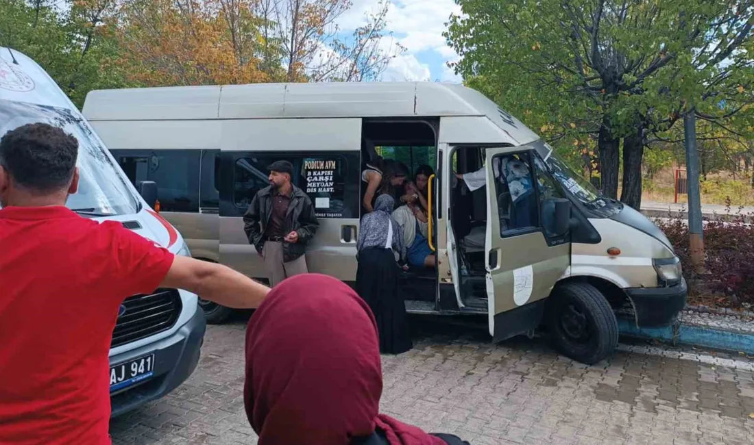 Kırıkkale Üniversitesi kampüsünde kontrolden çıkan dolmuşun ağaca çarpması sonucu 13