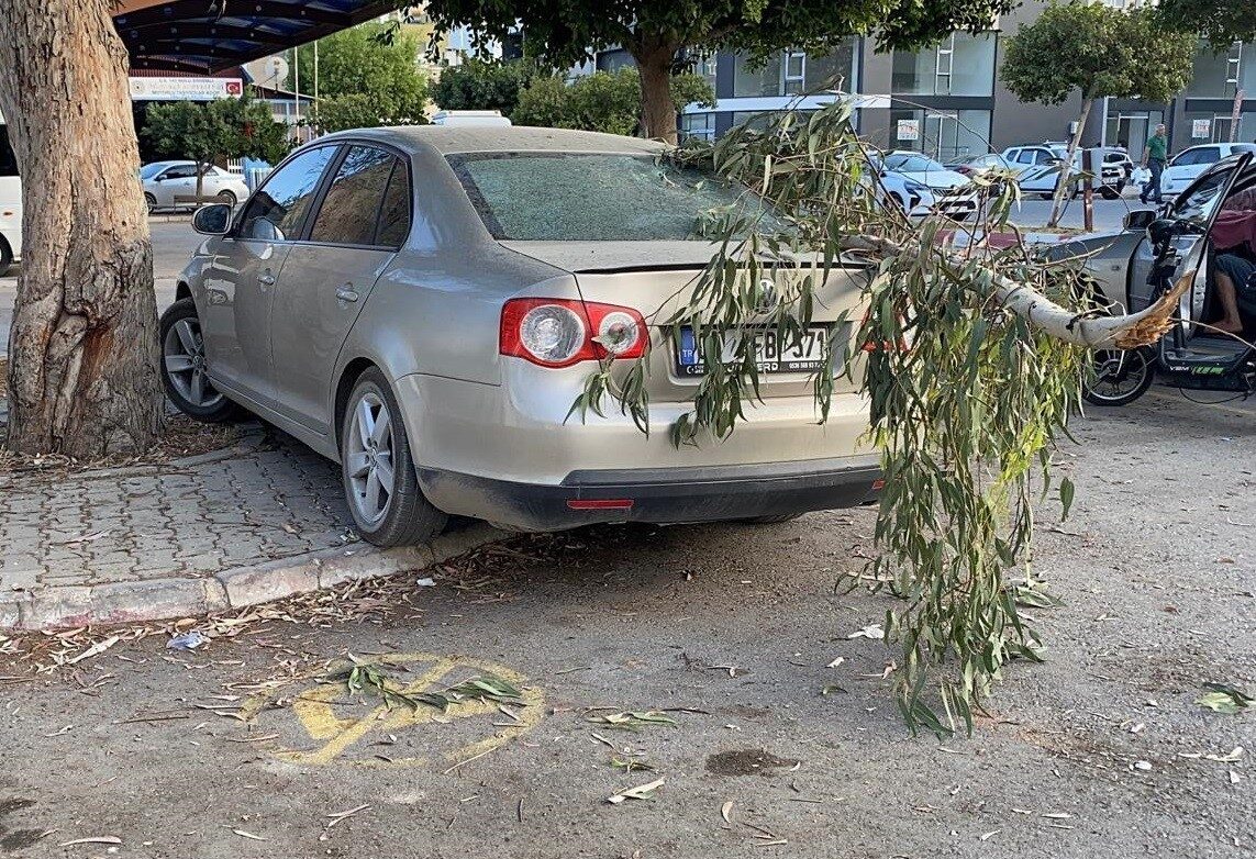Mersin’in Erdemli ilçesinde kırılan ağaç dalı otomobile zarar verdi. Olay,
