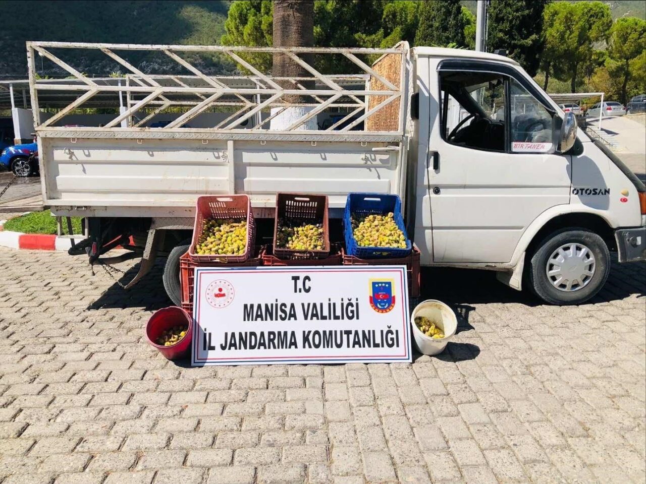 Manisa’nın Kırkağaç ilçesinde bir vatandaşa ait meyve bahçesinden 135 kilogram