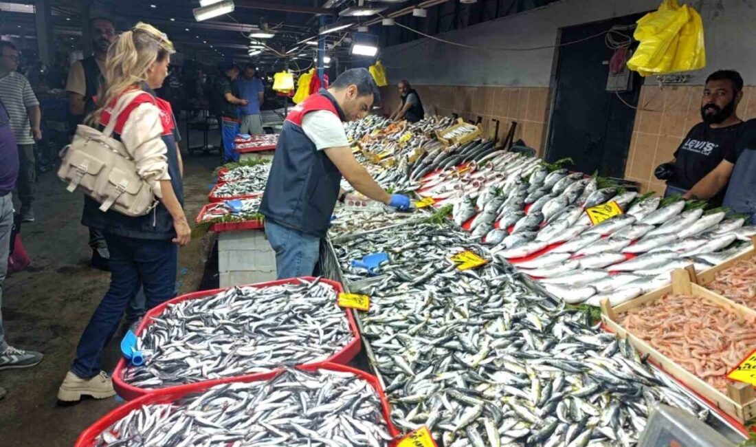 Kırklareli İl Tarım ve Orman Müdürlüğü ekipleri balık satışı yapılan