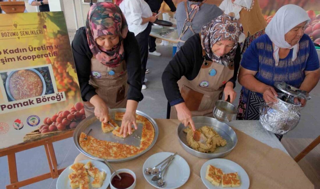 Kırklareli 16. Yayla, Bolluk, Bereket, Hasat ve Bağ Bozumu Şenlikleri
