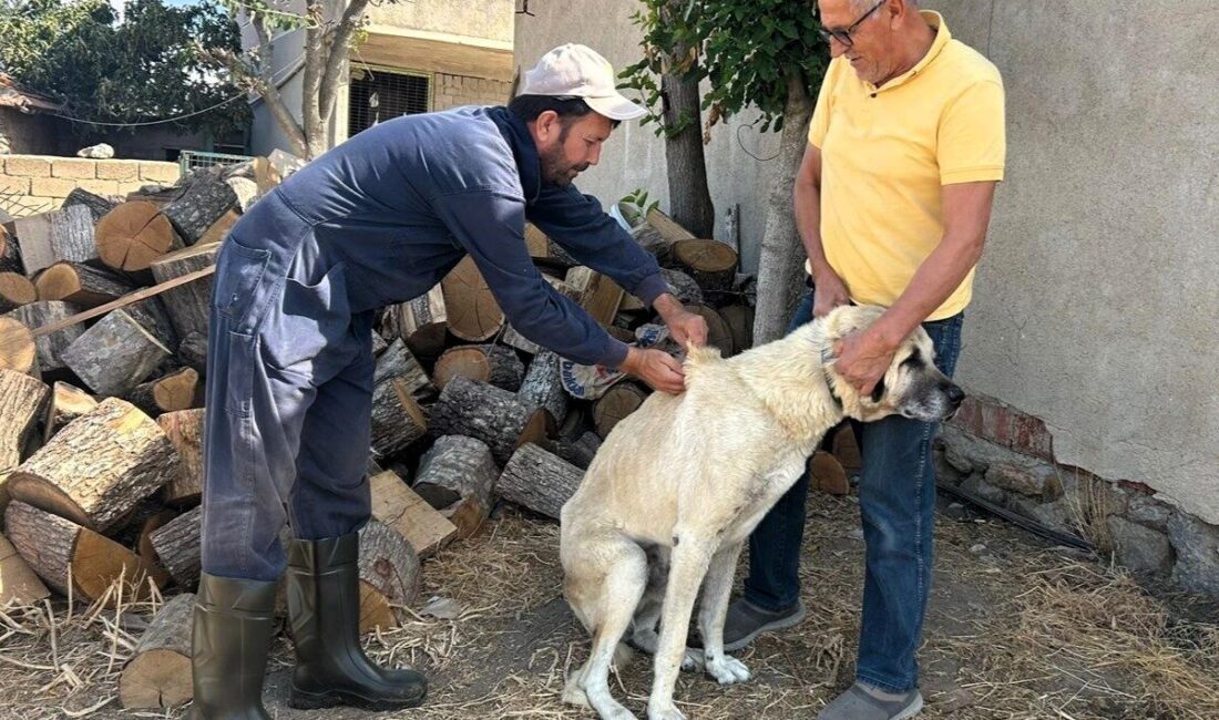 Kırklareli’nde İl Tarım ve Orman Müdürlüğü ekiplerince kedi ve köpeklere
