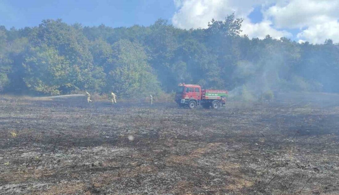 Kırklareli’nde çıkan örtü yangını ekiplerin müdahalesi ile söndürüldü. Alınan bilgiye