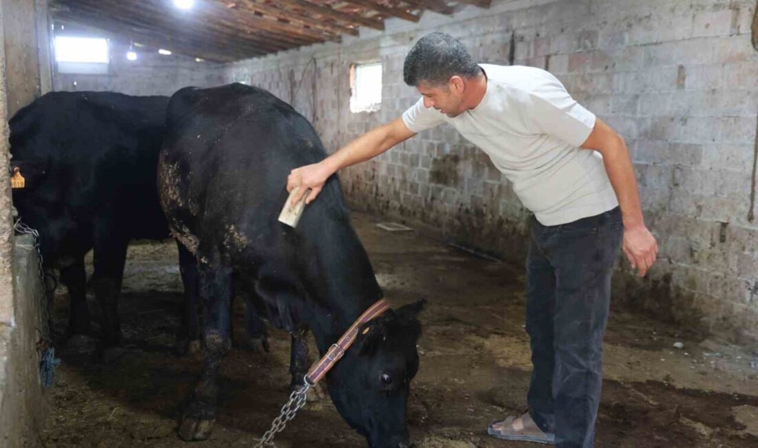 Tarım ve Orman Bakanlığı tarafından 2025 yılında hayata geçirilen ‘Kırsalda