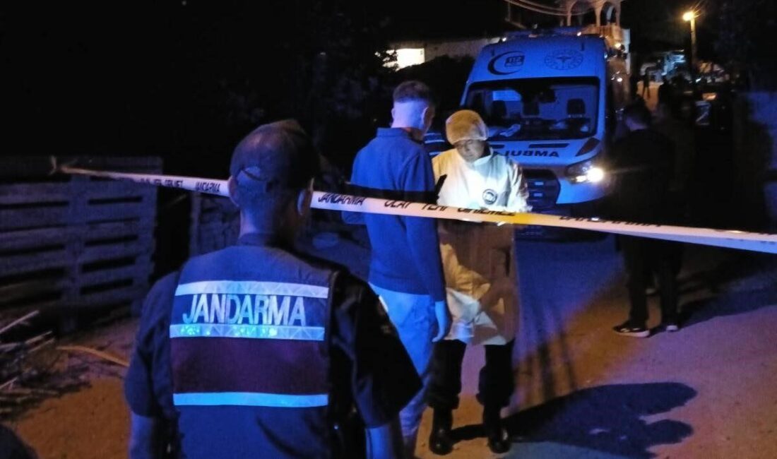 Kırşehir’in Akpınar ilçesinde bir şahıs, anne ve babasını bıçakla öldürdü,