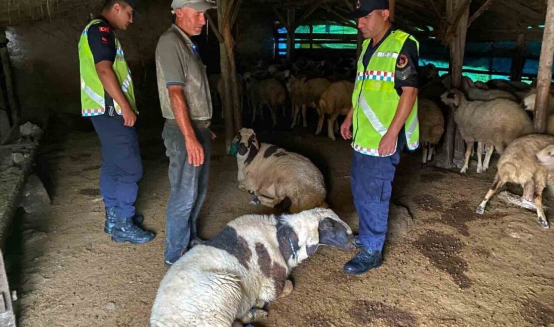 KIRŞEHİR (İHA) – Kırşehir’in Kaman ilçesine bağlı Meryemkaşı köyünde kaybolan