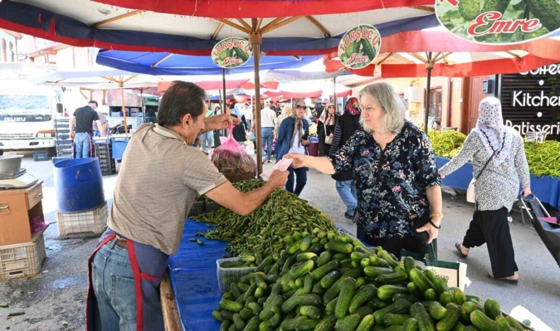 Eskişehir’de kış aylarının yaklaşmasıyla birlikte turşu kurmak için hazırlıklara başlayan