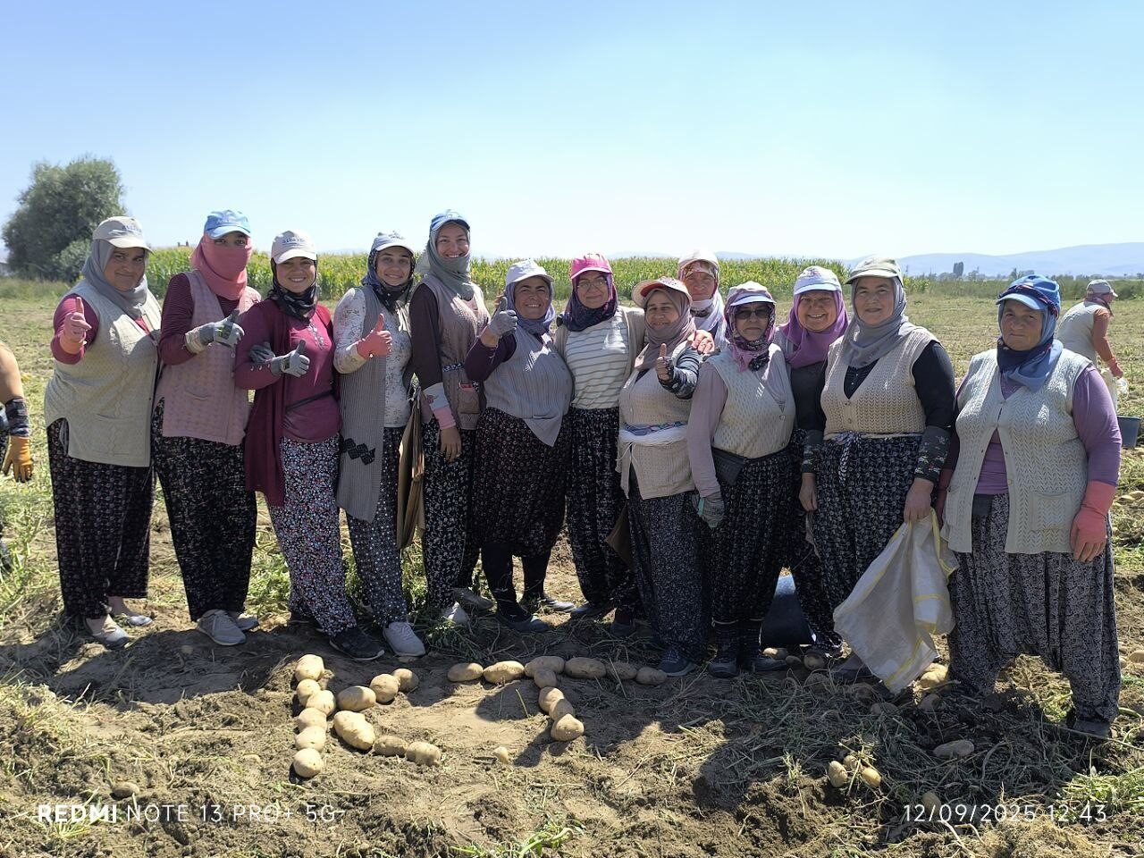 Türkiye’nin önemli patates üretim merkezlerinden birisi olan Afyonkarahisar Şuhut ilçesinde