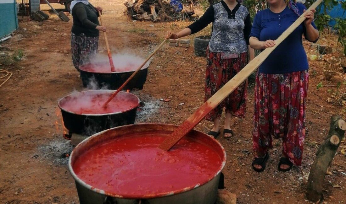 Erzincan’ın Üzümlü ilçesinde, kazanlarla kışlık salça yapan kadınlar, hem doğal
