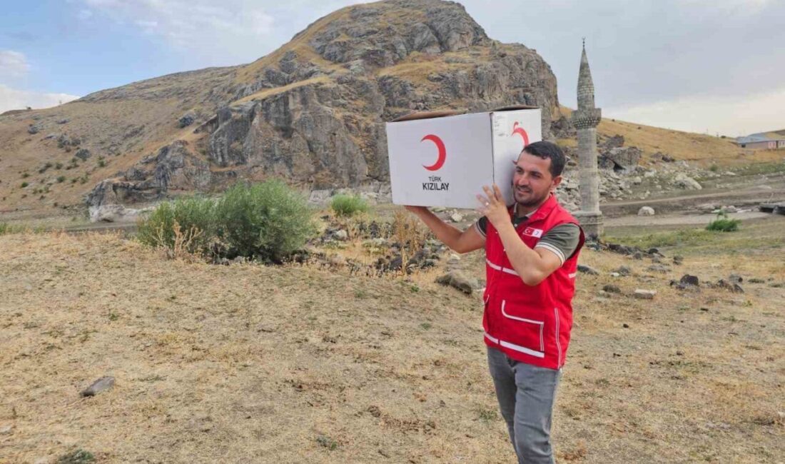 Türk Kızılay Ağrı Şubesi gönüllüleri, kent merkezi ve çevre köylerde