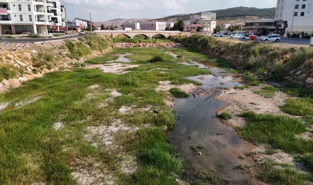 Türkiye’nin en uzun nehri olan Kızılırmak’a rengini veren Fadlum Irmağı’nda