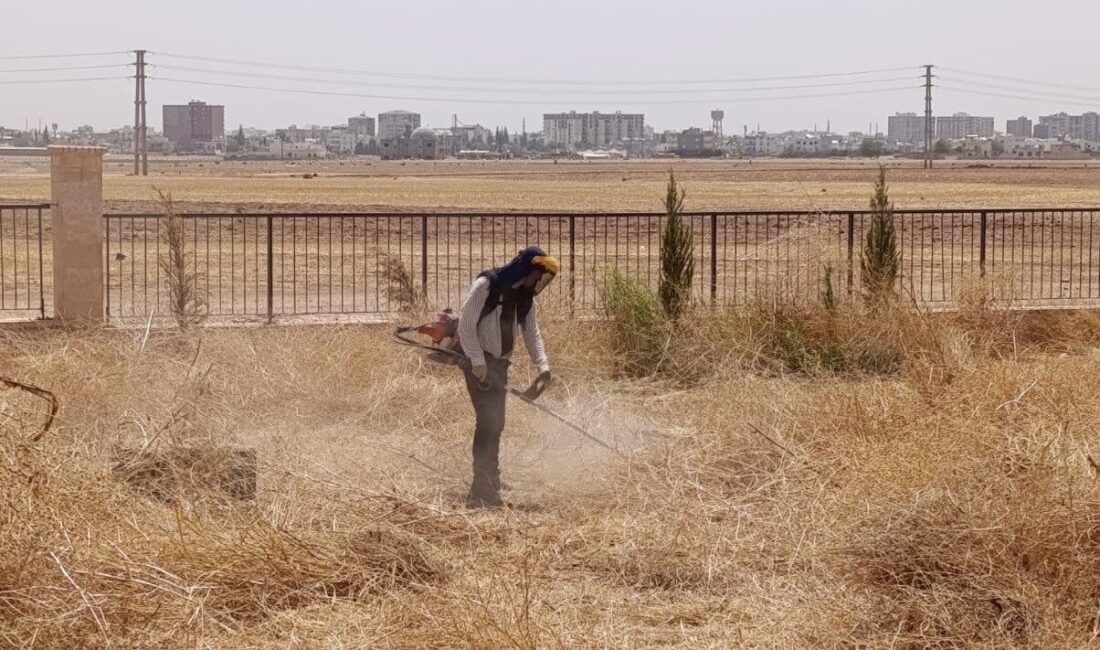 Mardin Büyükşehir Belediyesi tarafından Kızıltepe Millet Bahçesinde bakım ve yenileme