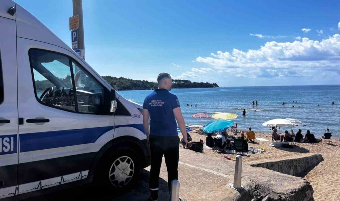 Kocaeli Büyükşehir Belediyesine bağlı Nakil Ambulans Birimi, 15 Haziran-15 Eylül