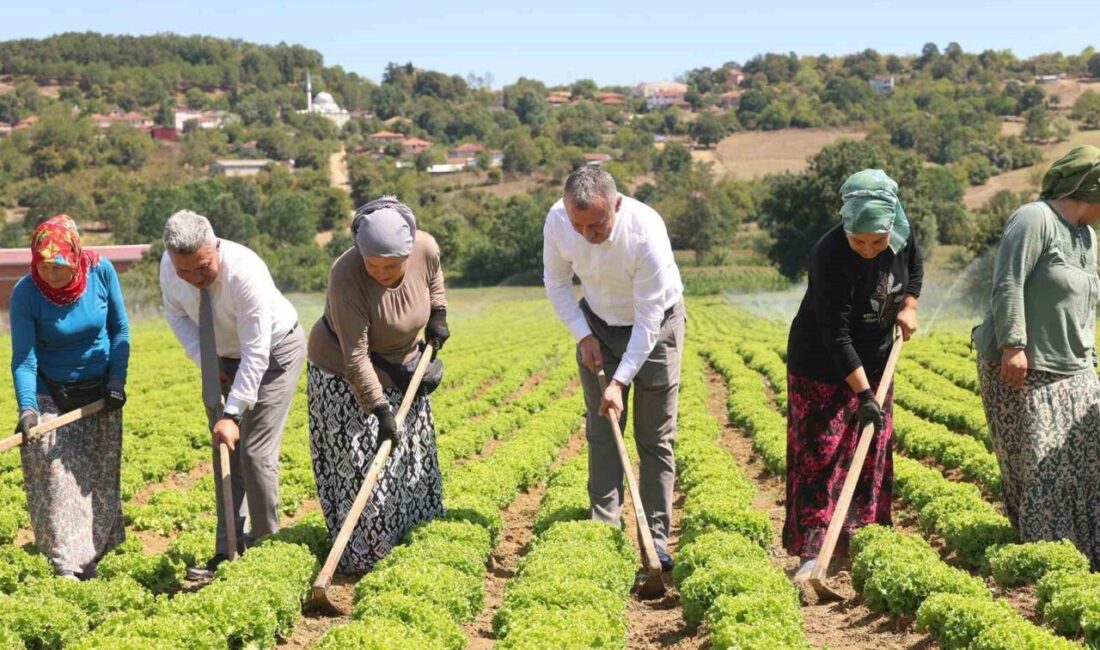 Kocaeli Büyükşehir Belediyesi, çiftçilere sunduğu 1 milyar TL’lik destek ve