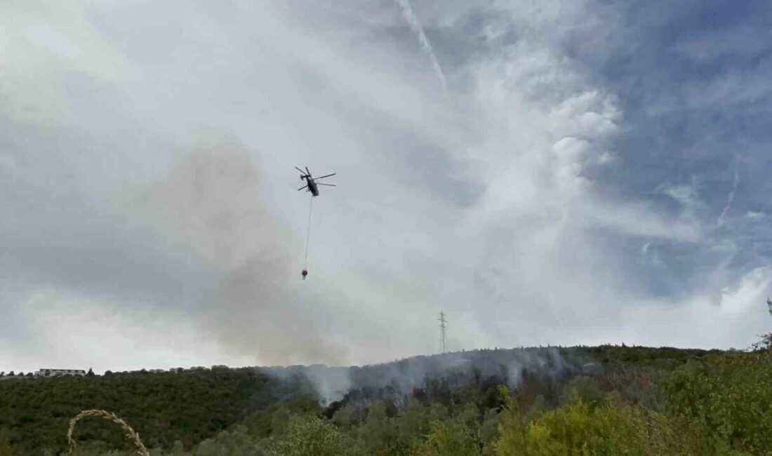 Kocaeli’nin İzmit ilçesinde çıkan orman yangını, ekiplerin havadan ve karadan
