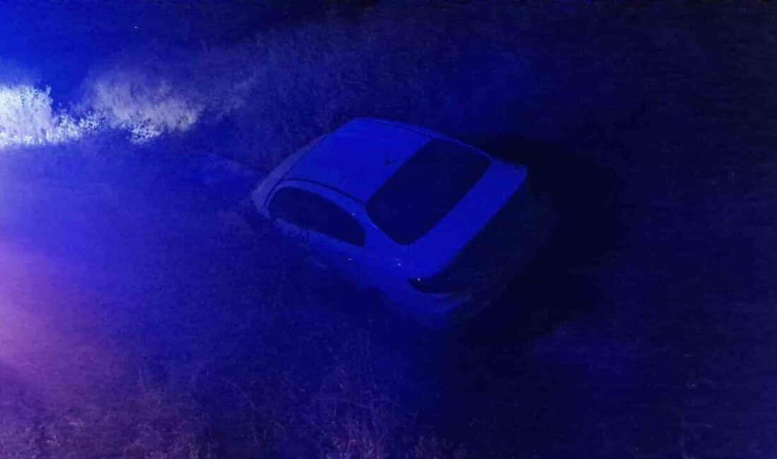 Çorum’un Alaca ilçesinde kontrolden çıkan otomobilin şarampole devrildiği kazada 1