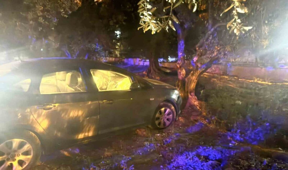 Erdek’te kontrolden çıkan otomobil zeytin bahçesine girdi. Kazada 1 kişi