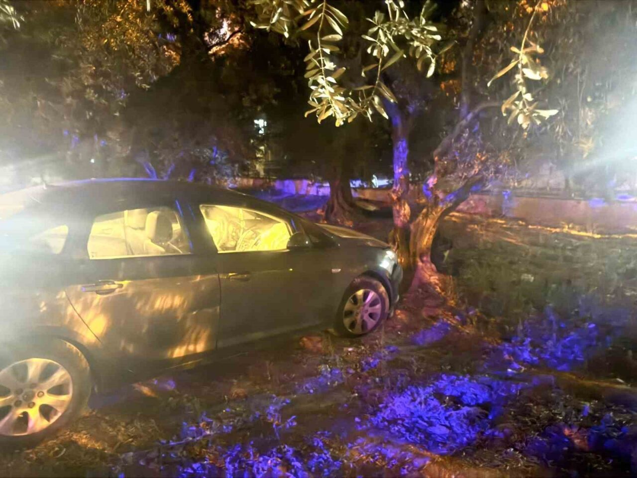 Erdek’te kontrolden çıkan otomobil zeytin bahçesine girdi. Kazada 1 kişi