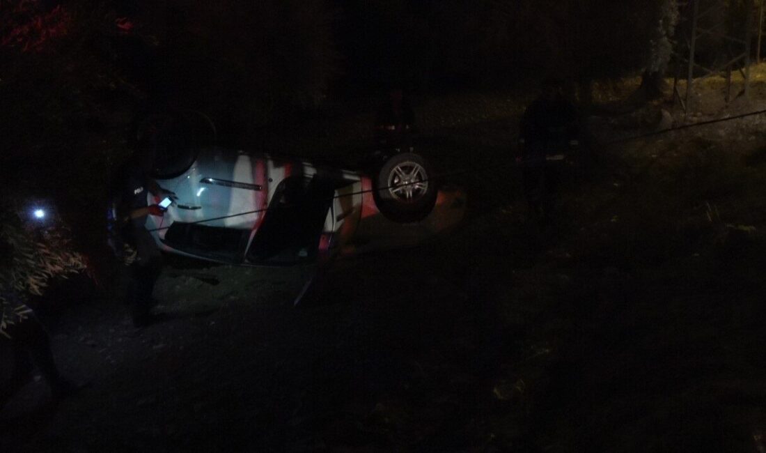 Kilis’te kontrolden çıkan otomobilin zeytin tarlasına girdiği kazada sürücü yaralandı.