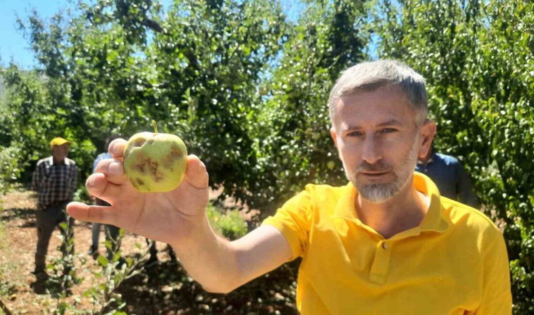 Konya’nın Bozkır ilçesinde etkili olan dolu yağışı, bahçelerde ve ekili