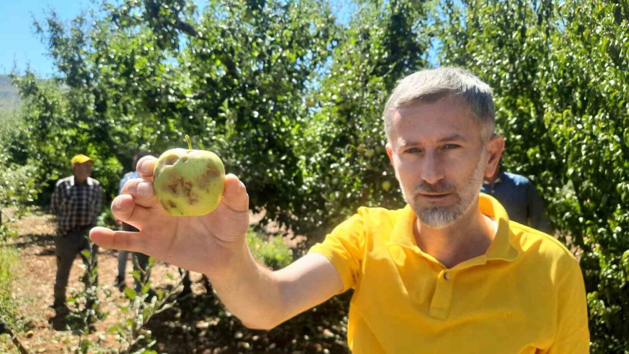 Konya’nın Bozkır ilçesinde etkili olan dolu yağışı, bahçelerde ve ekili