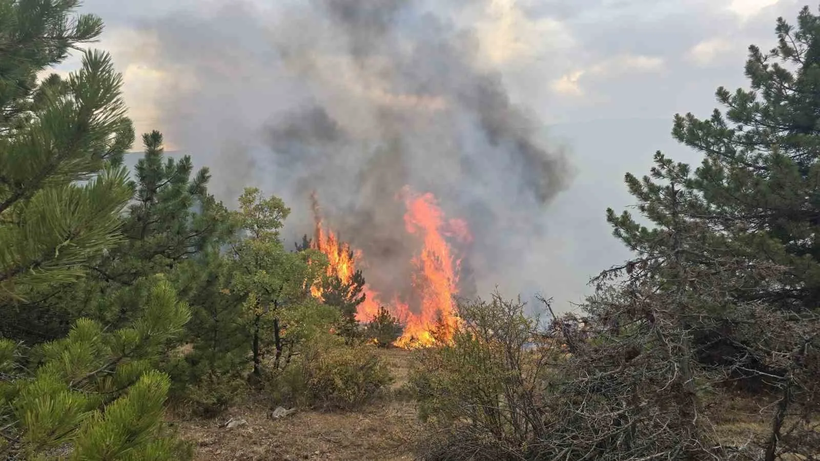 Konya’nın Derbent ilçesinde ormanlık alanda çıkan yangın güçlükle söndürüldü. Edinilen
