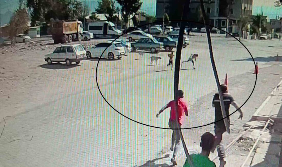 Hatay’da sokak köpeklerinin saldırısına uğrayan 2 çocuğun kaçtığı anlar ve
