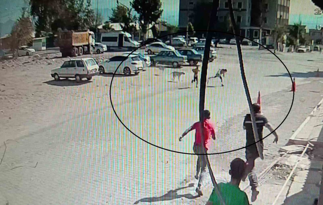 Hatay’da sokak köpeklerinin saldırısına uğrayan 2 çocuğun kaçtığı anlar ve