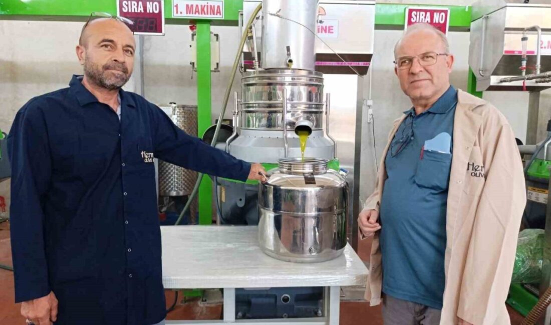 Türkiye’nin önde gelen zeytin üretim bölgelerinden Manisa’nın Köprübaşı ilçesinde erken