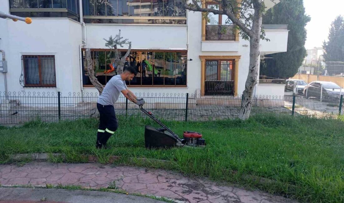 Körfez Belediyesi, ilçe genelinde hem yollar hem de park ve
