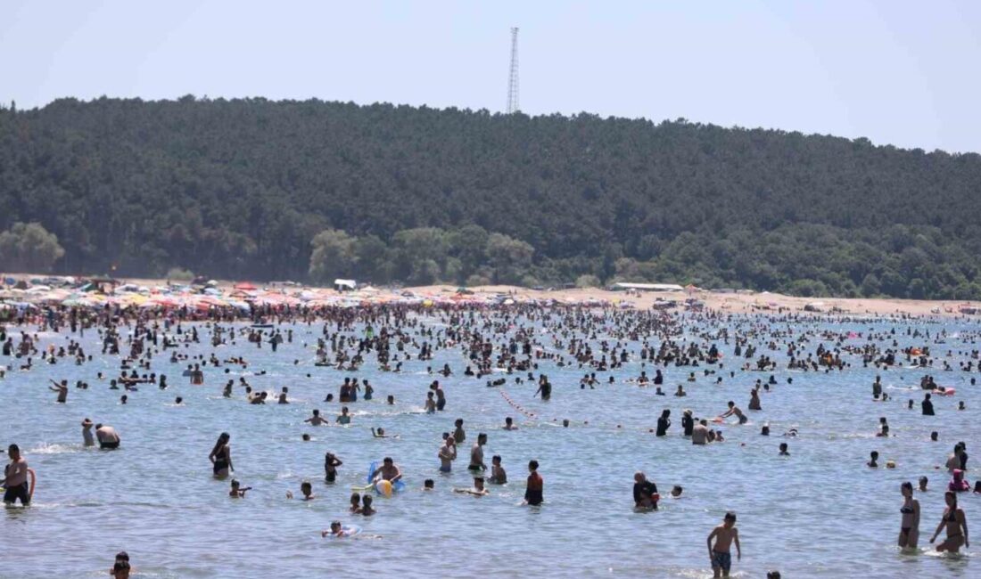 Kocaeli sahillerinde görev yapan KOSKEM ekipleri, bu yaz sezonunda boğulma