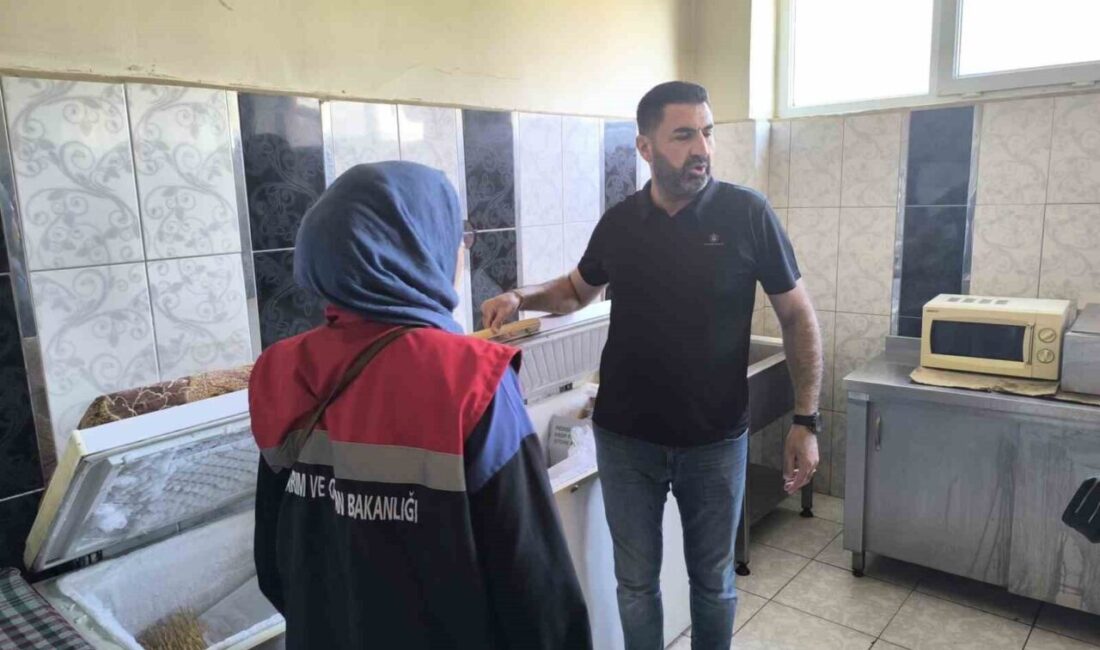 Köşk İlçe Tarım ve Orman Müdürlüğü Gıda Kontrol ekipleri, 15-26