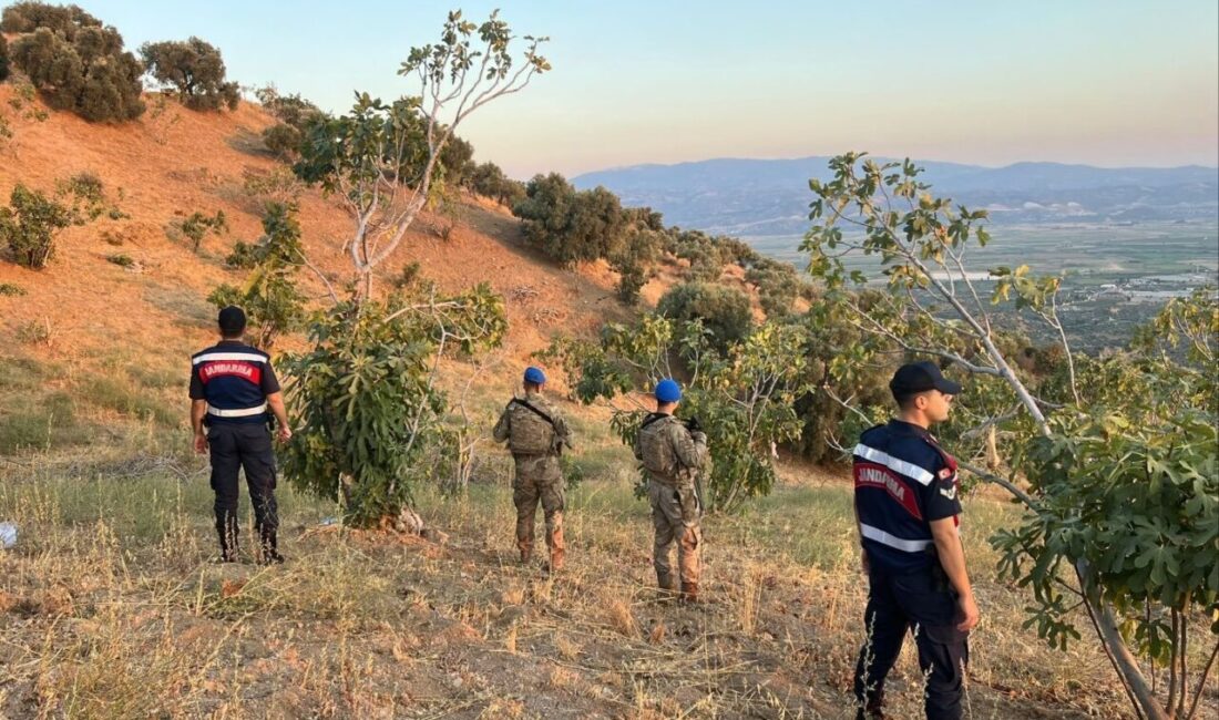 Aydın’ın Köşk ilçesinde jandarma ekipleri tarafından ürün hırsızlığının önlenmesine yönelik
