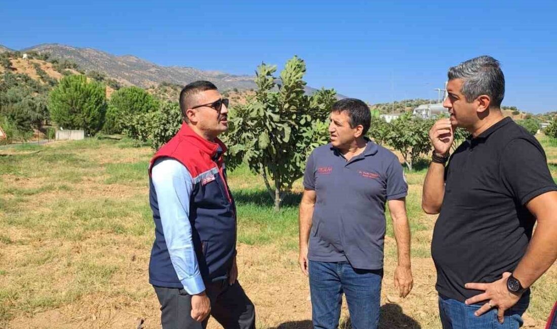 Aydın’ın Köşk ilçesinde çalışmalarını sürdüren ilçe tarım ekipleri, tarımsal zararlılarla