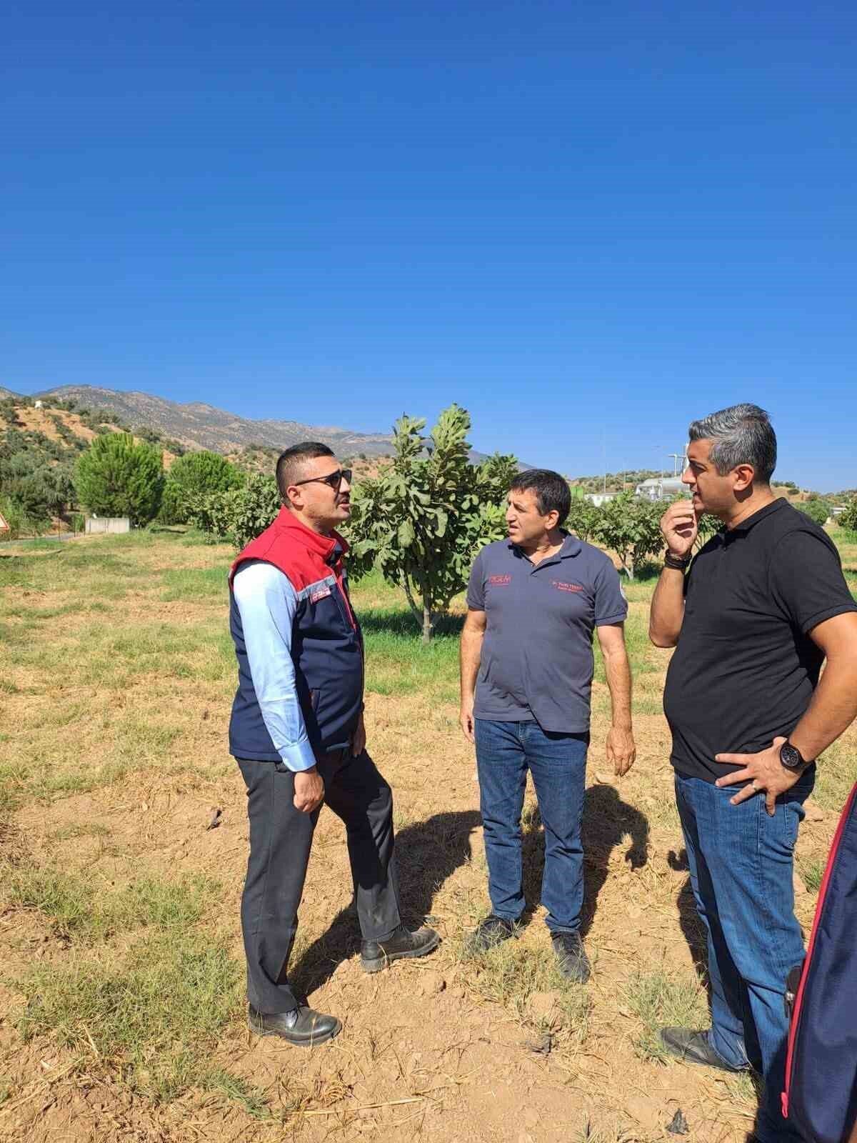 Aydın’ın Köşk ilçesinde çalışmalarını sürdüren ilçe tarım ekipleri, tarımsal zararlılarla