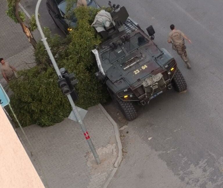 Elazığ’ın Kovancılar ilçesinde etkili olan fırtına nedeniyle ağaç dalları kırıldı.
