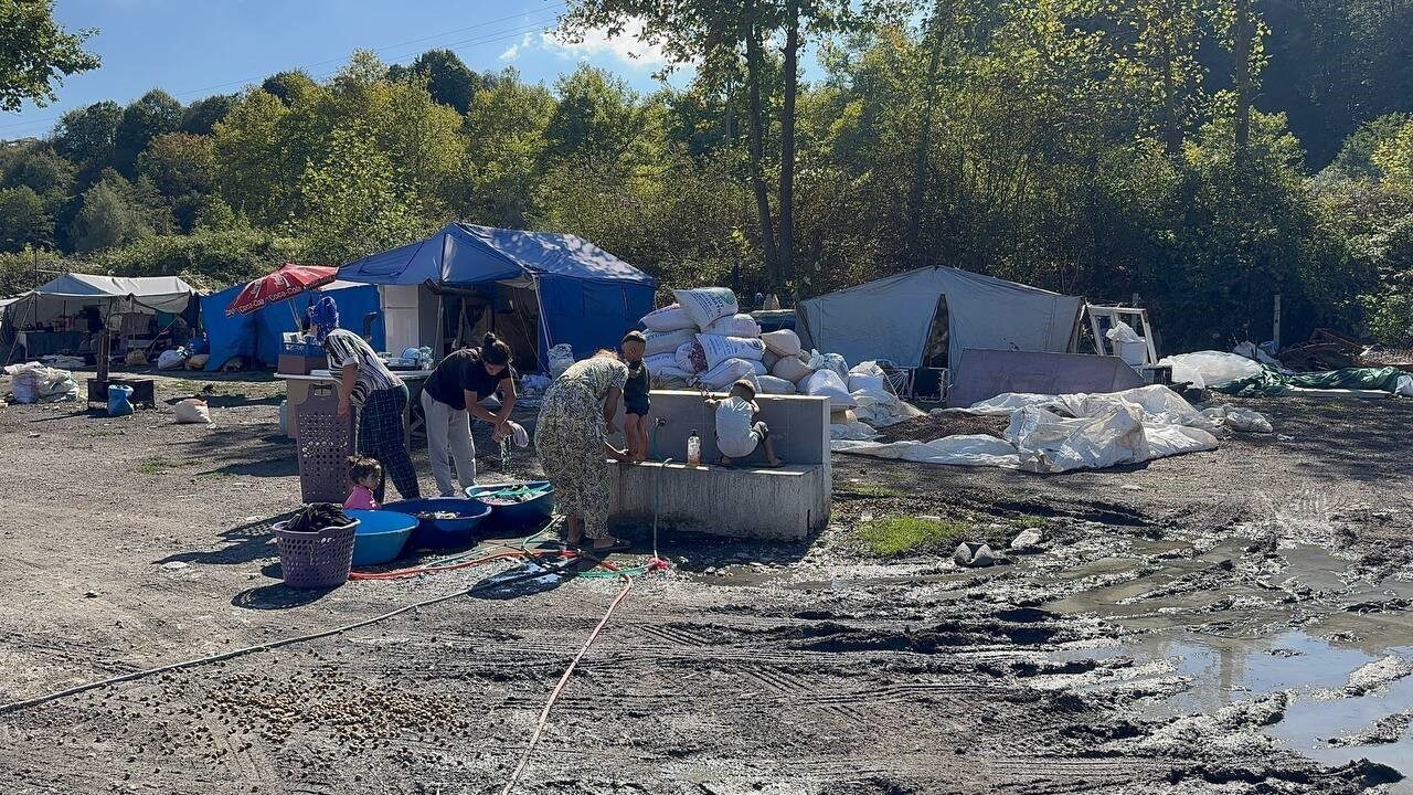 Alaplı’da fındık sezonu sadece üreticiyi değil, boş fındık toplayıcılarını da