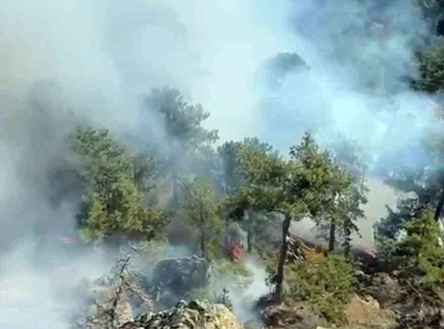 Muğla’nın Denizli sınırında yer alan kırsal Otmanlar Mahallesinde başlayan orman