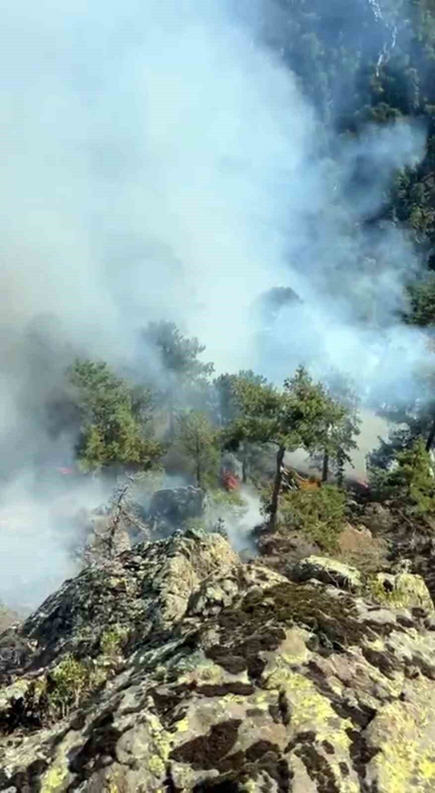 Muğla’nın Denizli sınırında yer alan kırsal Otmanlar Mahallesinde başlayan orman
