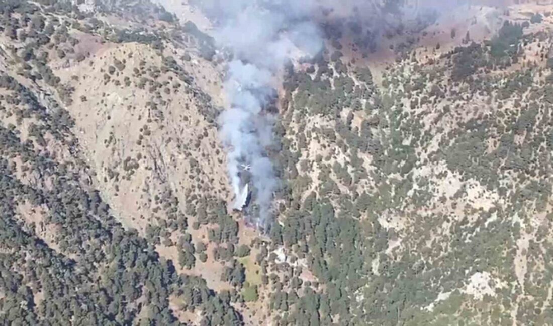 Muğla’nın Köyceğiz ilçesinde sabah saatlerinde başlayan ve çıkış nedeni henüz
