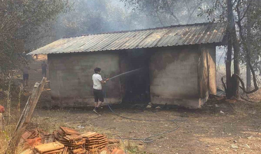 Muğla’nın Köyceğiz ilçesinde geçe saatlerinde başlayan ve devam eden orman