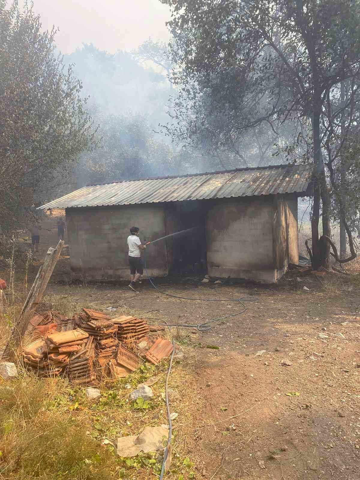 Muğla’nın Köyceğiz ilçesinde geçe saatlerinde başlayan ve devam eden orman