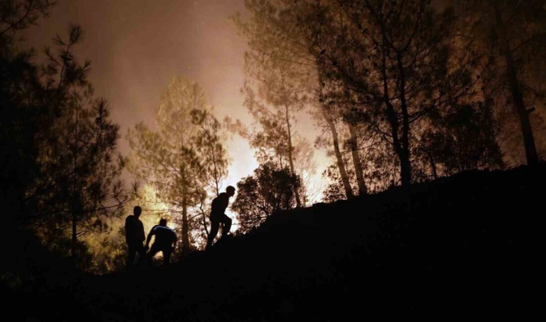 Muğla’nın Köyceğiz ilçesi Akköprü mevkiinde iki gündür devam eden orman