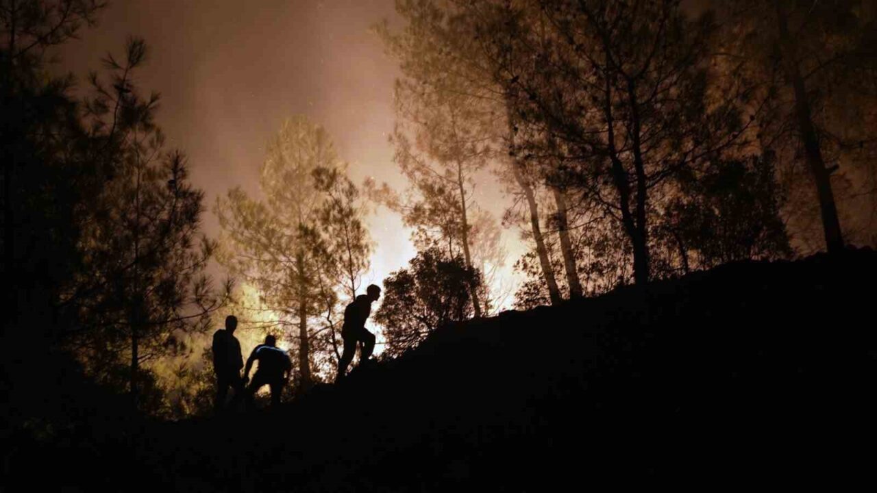 Muğla’nın Köyceğiz ilçesi Akköprü mevkiinde iki gündür devam eden orman