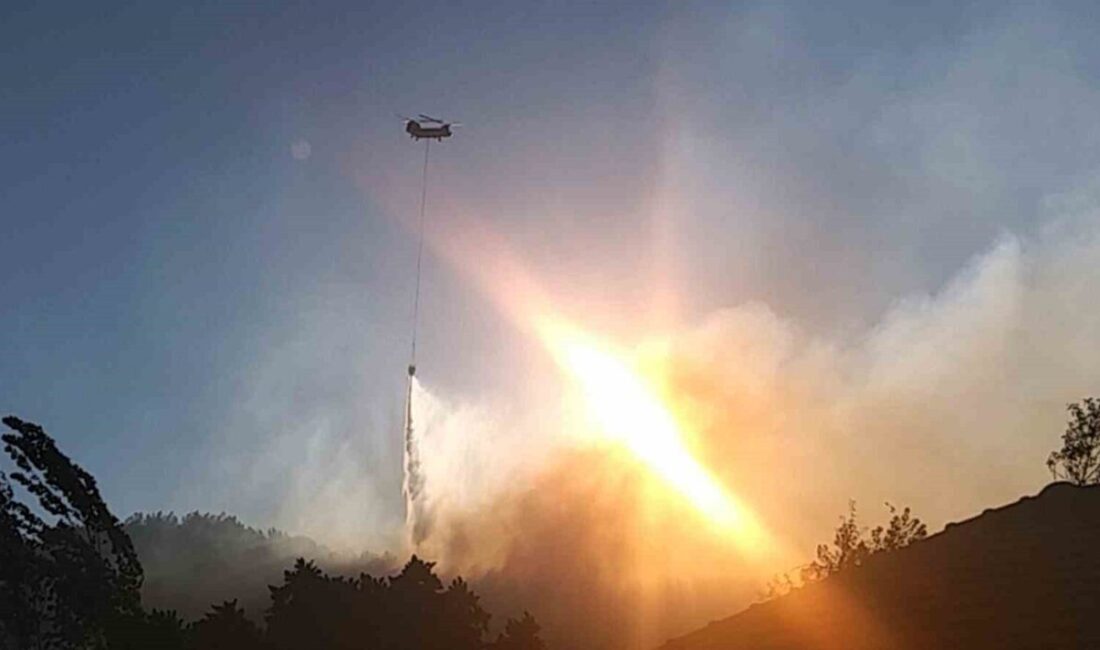 Muğla’nın Köyceğiz ilçesinde iki gündür devam eden orman yangınına gece